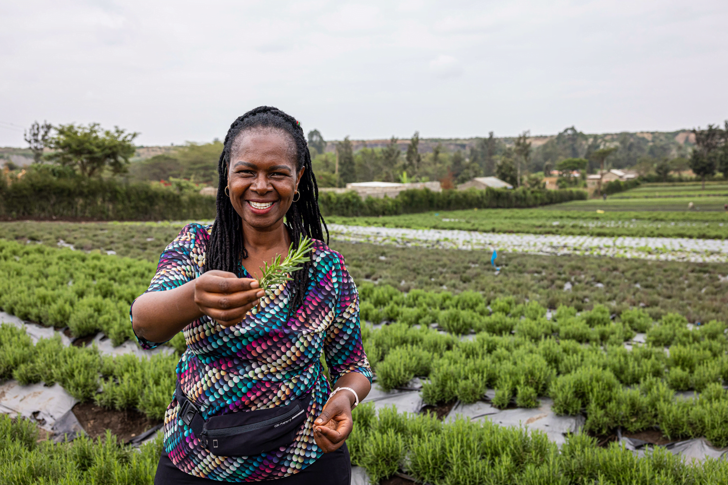 Diana Muthee, a Kenyan woman entrepreneur, stands on her sustainable herb farm. She is showing some picked herbs to the camera.