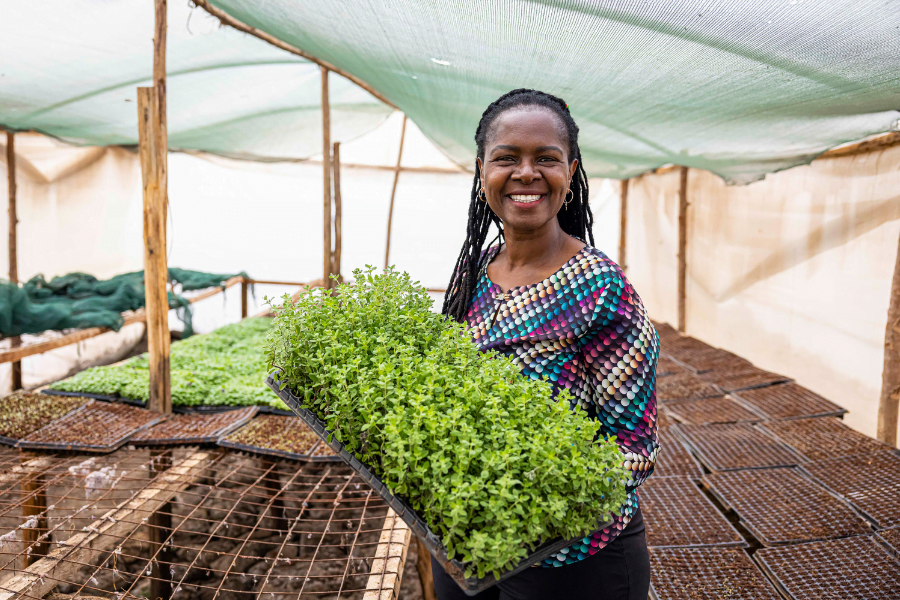 Diana Muthee, a Kenyan woman entrepreneur, stands on her sustainable herb farm. She is showing some growing herbs to the camera.